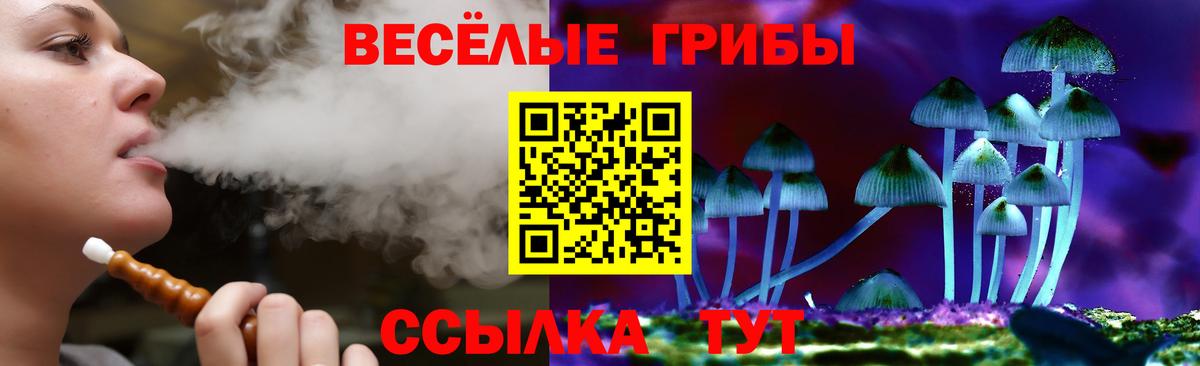 Псилоцибиновые грибы Psilocybe Баксан